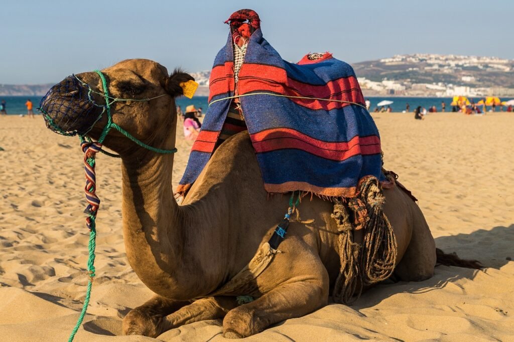 8 Days Private Desert Tour from Agadir