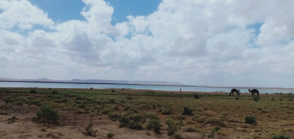 Sahara Desert Tours 4 days